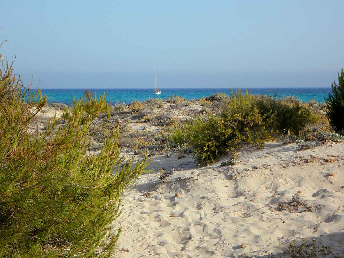 Finca Casa Vola Vola Playa Es Trenc Mallorca Urlaub